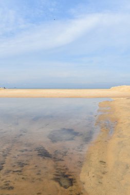 Uzun kumsal, mavi okyanus ve gökyüzü ufku Hindistan kerala varkala ile tropik kumsal arka planı 