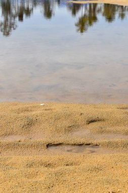 Uzun kumsal, mavi okyanus ve gökyüzü ufku Hindistan kerala varkala ile tropik kumsal arka planı 