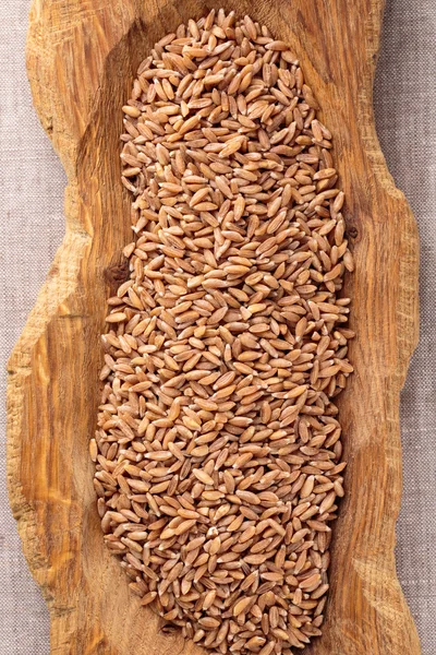 Uncooked organic spelt grain — Stock Photo, Image