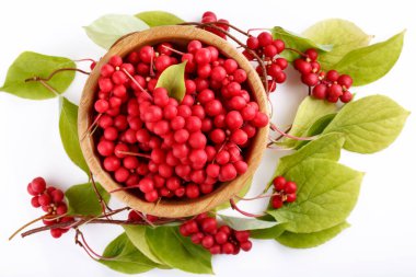 Schisandra chinensis veya beş aromalı böğürtlen. Taze kırmızı olgun böğürtlenler ve beyaz arka planda ahşap kasede yapraklar. Üst görünüm.
