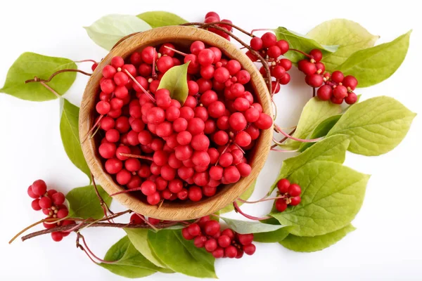 Schisandra Chinensis Five Flavor Berry Fresh Red Ripe Berries Leaves — Stock Photo, Image