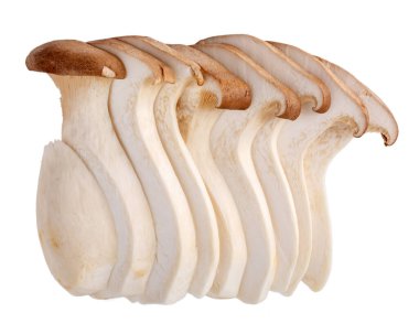 Pleurotus eryngii, kral istiridye mantarı, kral trompetleri. Dilimlenmiş çiğ mantar beyazda izole edilmiş.. 