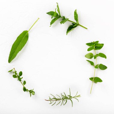 Yuvarlak çelenk yeşili çerçeve beyaz üzerine yenebilir çeşitli taze otlardan yapılmıştır. Üst görünüm, kopyalama alanı, düz görünüm, yakın plan.