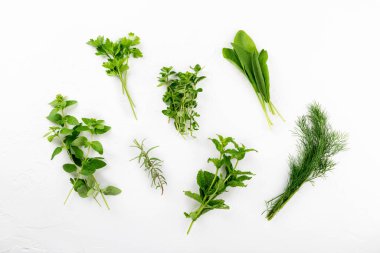 Beyaz arka planda yenilebilir çeşitli otlar. Üst görünüm, düz görünüm, yakın çekim