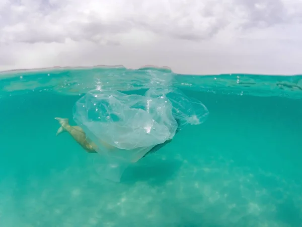 Пластиковый Пакет Плавающий Океане Подводные Отходы Концепция Загрязнения Океана Глобальная — стоковое фото