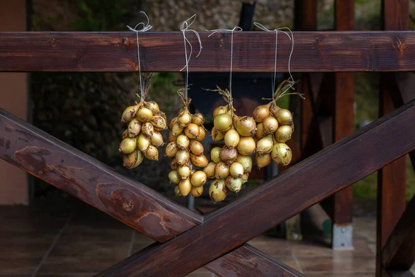 Freshly Harvested Onion Bulbs Hanging Bunches Onion Outdoor — Stock Photo, Image