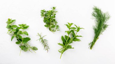 Beyaz arka planda yenilebilir çeşitli otlar. Üst görünüm, düz görünüm, yakın çekim