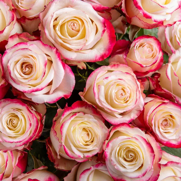 Boeket Roze Rozen Close Bovenaanzicht Natuurlijke Bloemen Textuur Achtergrond — Stockfoto