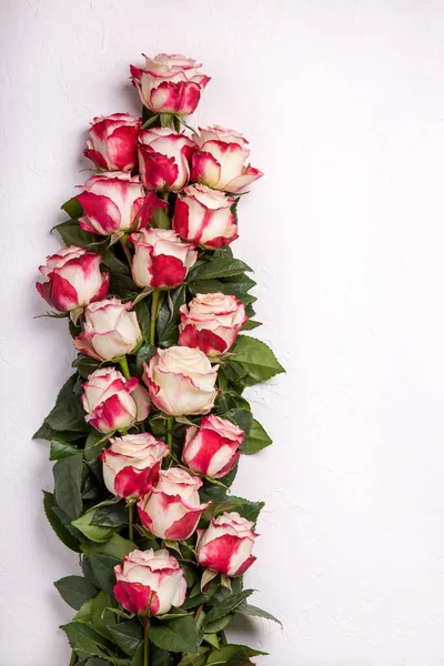 Kytice Růžových Růží Bílém Pozadí Byt Ležel Horní Pohled Kopírovací — Stock fotografie