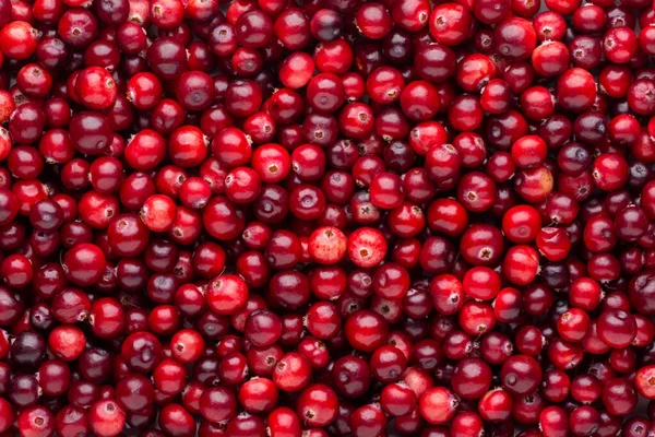 Ripe Red Cranberry Berries Background Close Top View — Stock Photo, Image