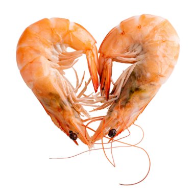 Kaynamış Vannamei karidesi, beyaz bacaklı karides, Pasifik beyaz karidesi ya da beyaz karides karidesi. Üst görünüm, yakın çekim.