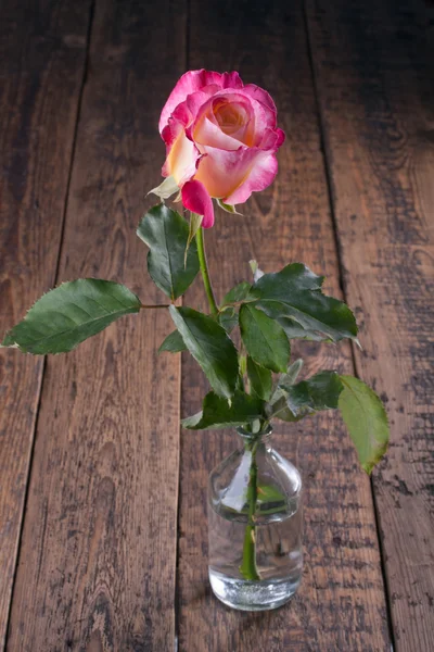 Una rosa singola in un vaso di vetro . — Foto Stock