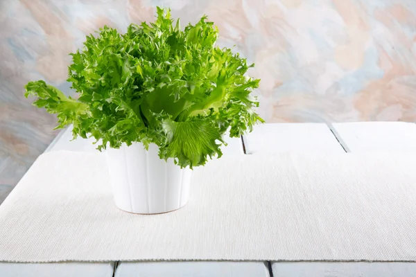 Frischer grüner Salat im weißen Topf. — Stockfoto