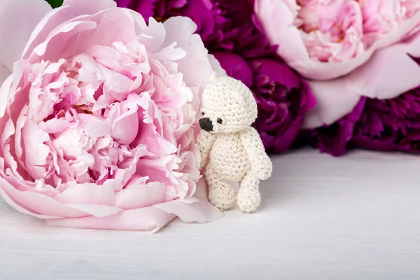 Teddy Beer en peony — Stockfoto