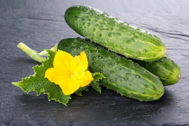 yaprak ve çiçek taze salatalık