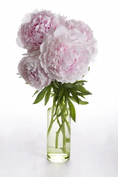 Buquê de flores de peônia rosa em um vaso — Fotografia de Stock