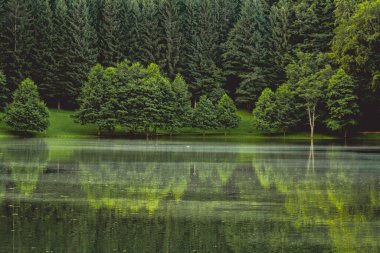 Güzel dağ gölü ve ormanın arka planında suda yansıması var.