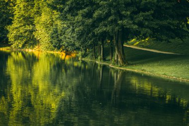 Arka planda suda yansıması olan güzel bir göl ve orman. Bosna-Hersek 'teki Balkana Gölü