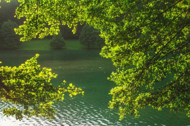 Ağaçlar ve dallar arasındaki Balkana gölünün çerçeveli görüntüsü