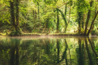 Bosna-Hersek 'in Sipovo kenti yakınlarındaki Janjske otokesinde nehir ve orman