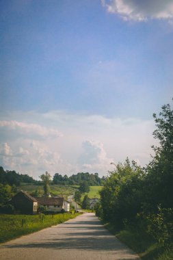 Asfalt yolu ve solunda mısır tarlası olan yeşil çimenler.
