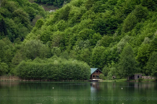 Petite Maison Bois Sur Lac — Photo