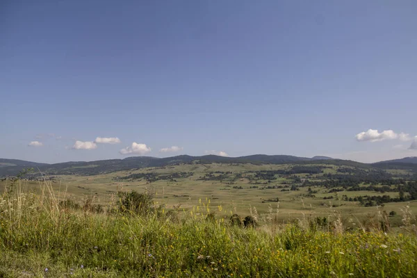 Bosna-Hersek 'in arka planında yeşil çayırları, mavi gökyüzü ve tepeleri olan güzel kırsal alan