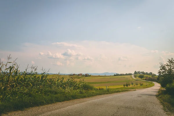 Route Asphaltée Herbe Verte Avec Champ Maïs Sur Côté Gauche — Photo