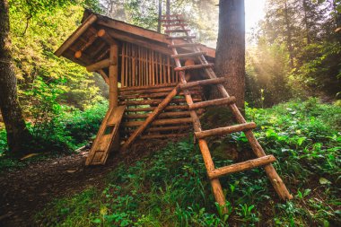 Zelenkovac ormanındaki eski ahşap kulübeye dayanan eski tahta merdiven.