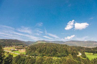 Tepeden Podrasnica 'daki ormanın manzarası. Güzel mavi gökyüzü