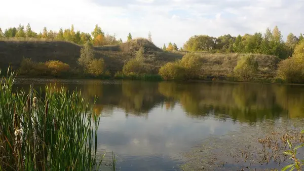 Podzimní Jezero Obklopené Rostlinami Pod Modrou Oblohou — Stock fotografie