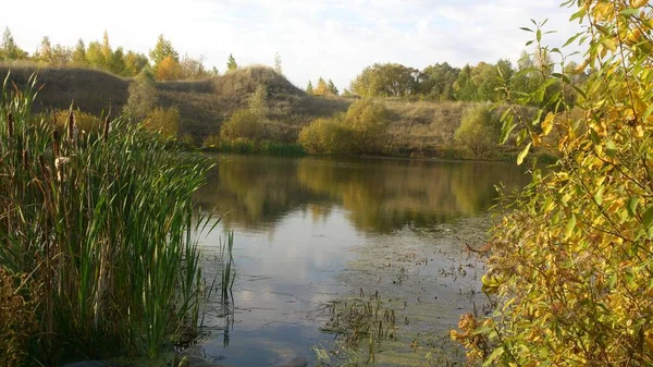Podzimní Jezero Obklopené Rostlinami Pod Modrou Oblohou — Stock fotografie