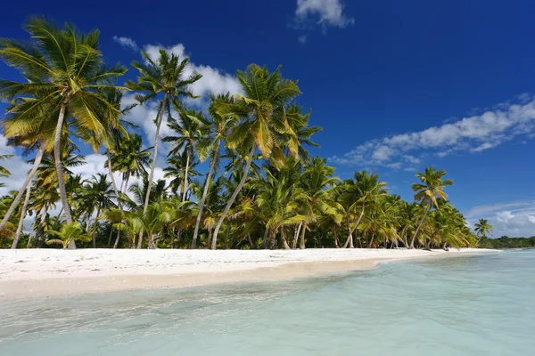 Dominikana, plaża na wyspie Saona — Zdjęcie stockowe