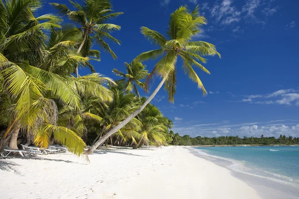 República Dominicana, Playa en Isla Saona — Foto de Stock