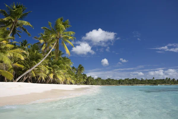 Dominikanska republiken, stranden på ön Saona — Stockfoto