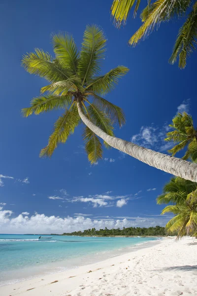 多米尼加共和国，两岛上的海滩 — 图库照片