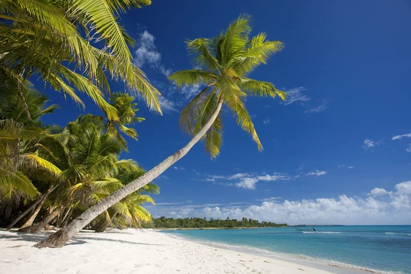 Repubblica Dominicana, Spiaggia sull'isola di Saona — Foto Stock