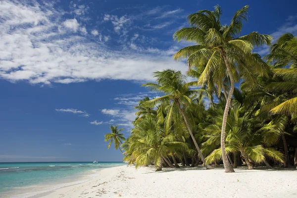 Dominikanska republiken, stranden på ön Saona — Stockfoto