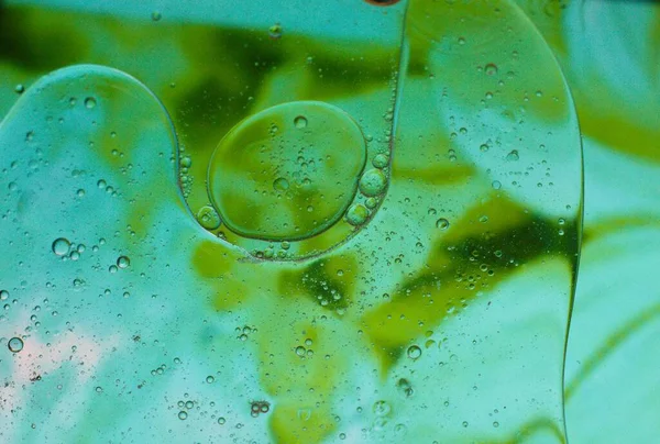 Зеленый Фон Абстрактная Динамичная Композиция Пузыря Паутины Плакатов — стоковое фото