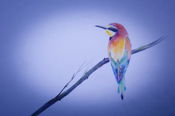 Kleine vogel op tak — Stockfoto