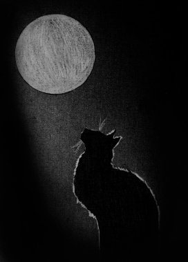 siyah kedi ve ay yuvarlak