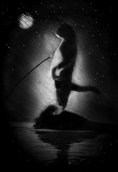 Chat sur la pêche de nuit — Photo