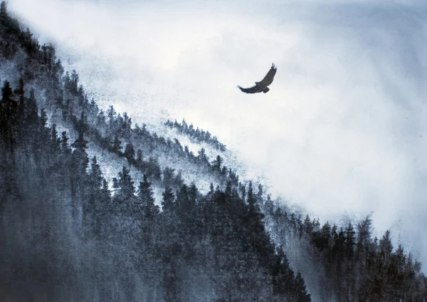 Montagna e aquila — Foto Stock