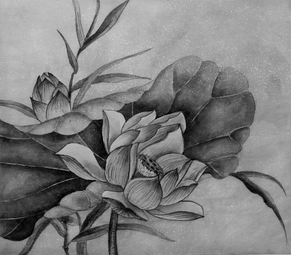 Boyalı güzel lotus çiçeği — Stok fotoğraf
