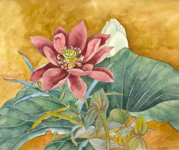 Lotus sarı bir arka plan üzerinde