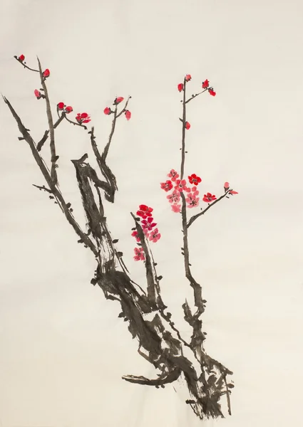 Roze plum branch — Stockfoto