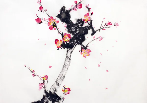 Ramo de flores de cereja — Fotografia de Stock