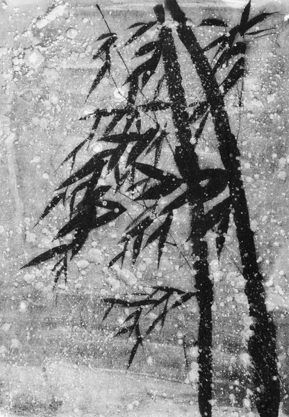 Bambú en la nieve —  Fotos de Stock