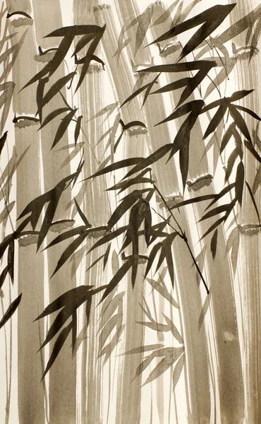 Bambusbäume und Blätter — Stockfoto
