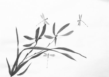 yabani orkide çiçekler bir yusufçuk